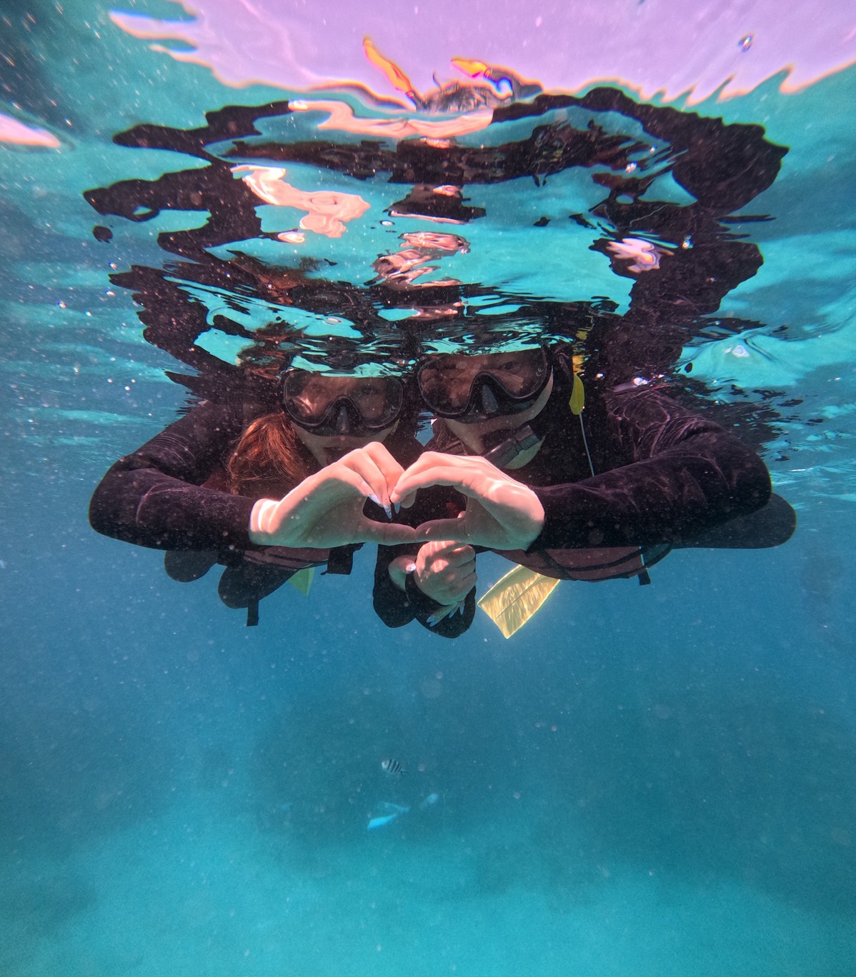 水中写真