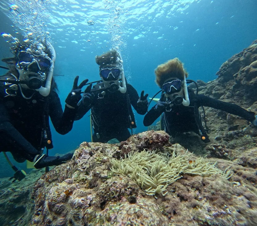 ダイビングの写真1