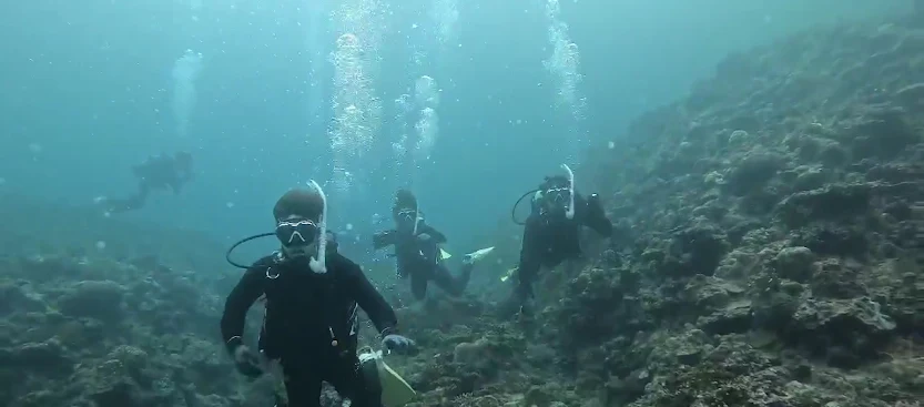 水中ダイビングの写真4